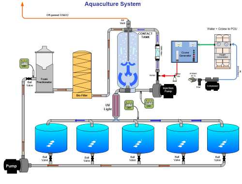 Aquaculture-Ozone-System-Drawing